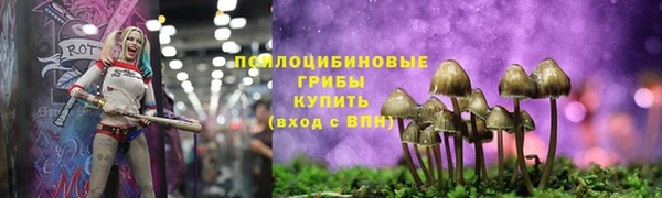 Альфа ПВП Алексеевка