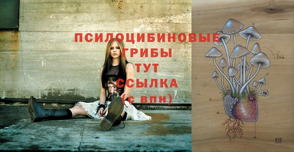 Альфа ПВП Алексеевка